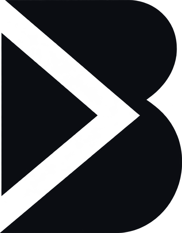 Bianchini Software